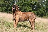 FILA BRASILEIRO 109